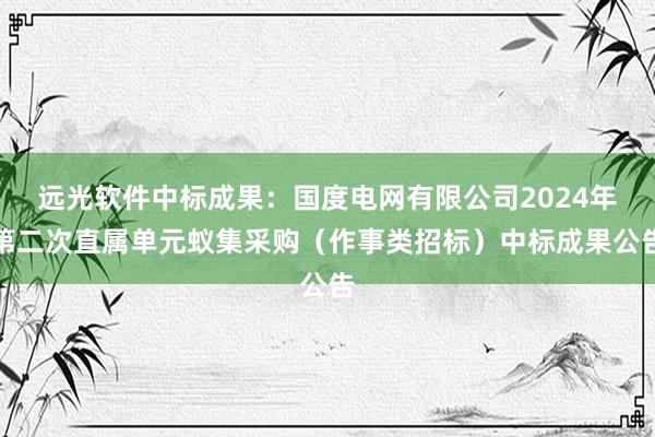 远光软件中标成果：国度电网有限公司2024年第二次直属单元蚁集采购（作事类招标）中标成果公告