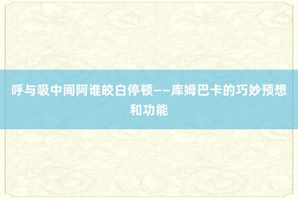 呼与吸中间阿谁皎白停顿——库姆巴卡的巧妙预想和功能