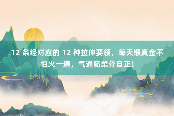 12 条经对应的 12 种拉伸要领，每天锻真金不怕火一遍，气通筋柔骨自正！