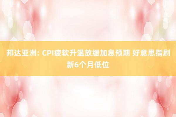 邦达亚洲: CPI疲软升温放缓加息预期 好意思指刷新6个月低位