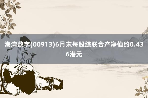 港湾数字(00913)6月末每股综联合产净值约0.436港元