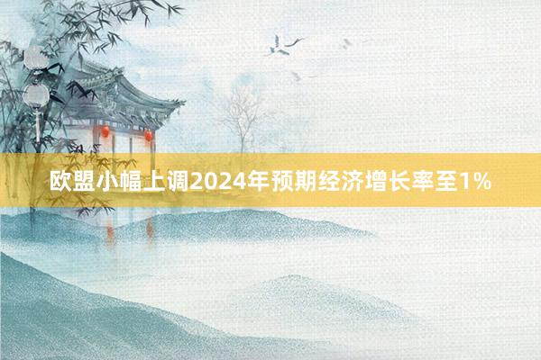 欧盟小幅上调2024年预期经济增长率至1%