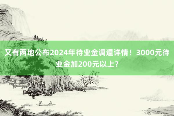 又有两地公布2024年待业金调遣详情！3000元待业金加200元以上？