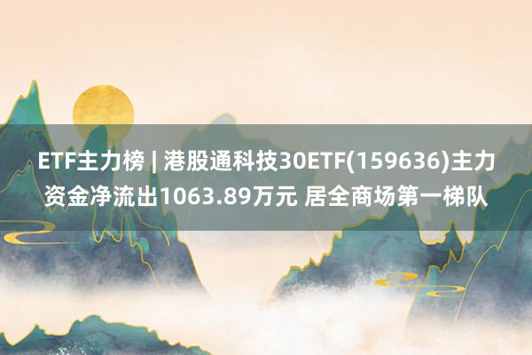 ETF主力榜 | 港股通科技30ETF(159636)主力资金净流出1063.89万元 居全商场第一梯队