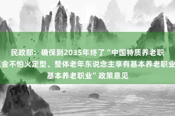 民政部：确保到2035年终了“中国特质养老职业体系锻真金不怕火定型、整体老年东说念主享有基本养老职业”政策意见