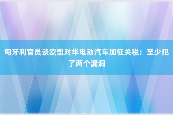 匈牙利官员谈欧盟对华电动汽车加征关税：至少犯了两个漏洞