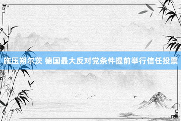 施压朔尔茨 德国最大反对党条件提前举行信任投票