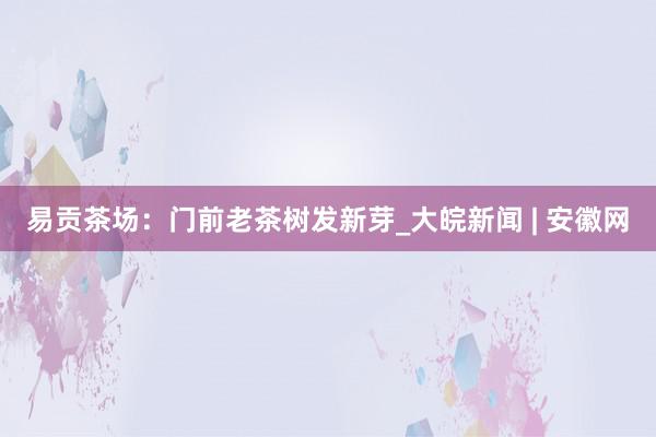 易贡茶场：门前老茶树发新芽_大皖新闻 | 安徽网