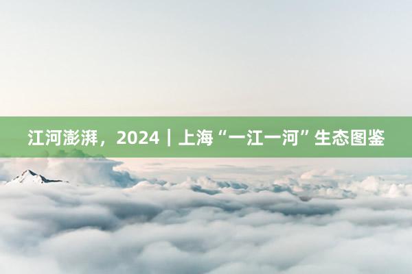 江河澎湃，2024｜上海“一江一河”生态图鉴